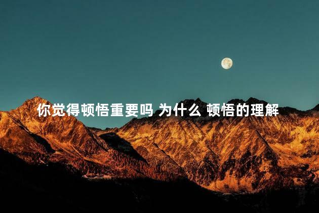 你觉得顿悟重要吗 为什么 顿悟的理解